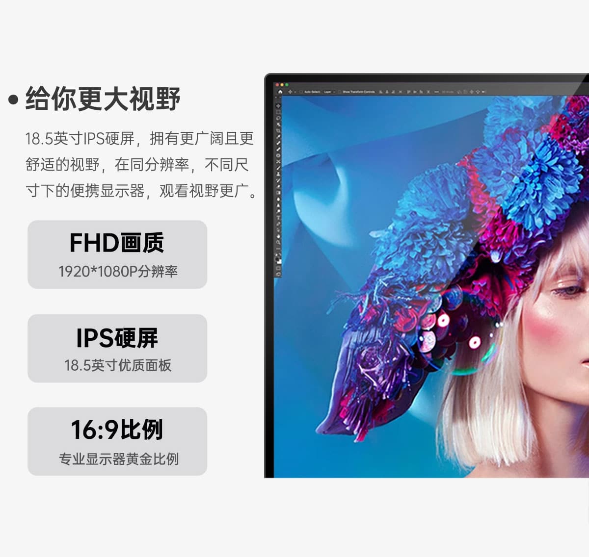 18.5英寸便携显示器(图3) 18.5英寸便携显示器(图3)